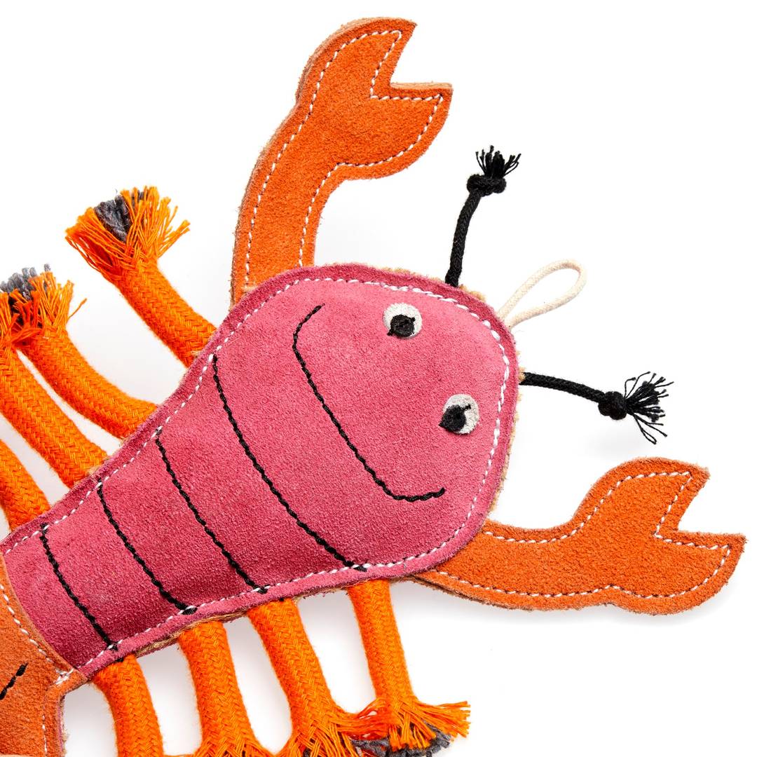 Larry The Lobster Eco Dog Toy - The Mewstone Candle Co