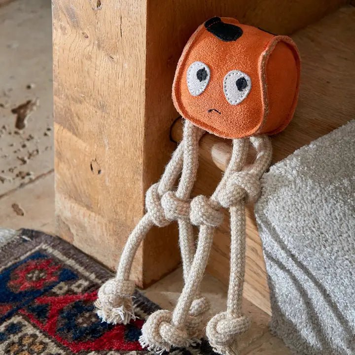 Sid The Squid Eco Dog Toy - The Mewstone Candle Co