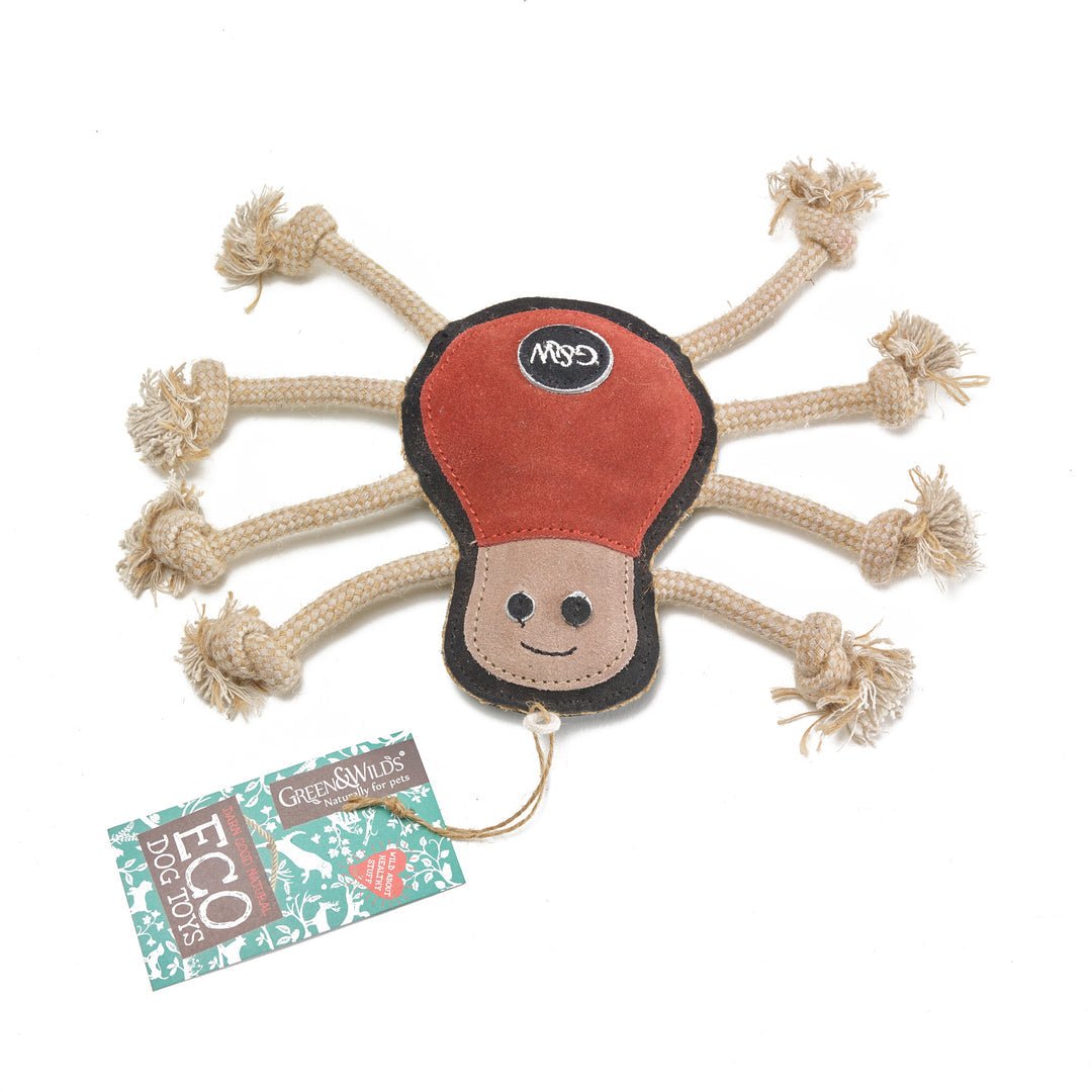 Spike the Spider Eco Dog Toy - The Mewstone Candle Co