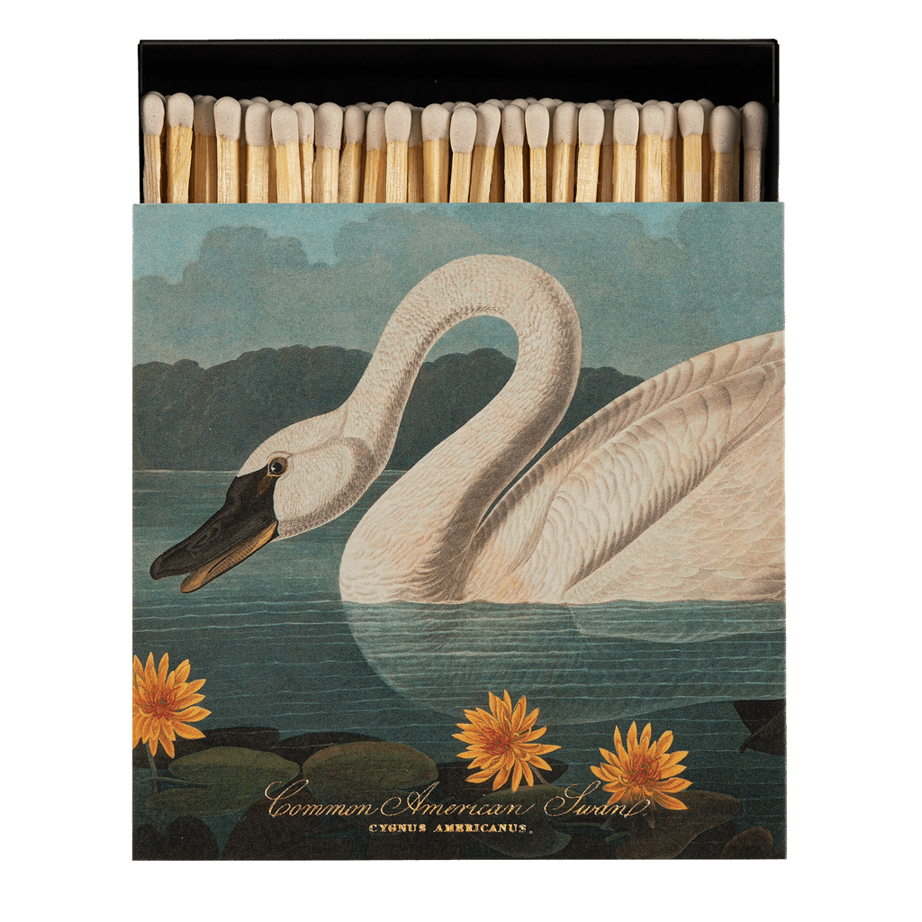 American Swan Luxury Archivist Matches
