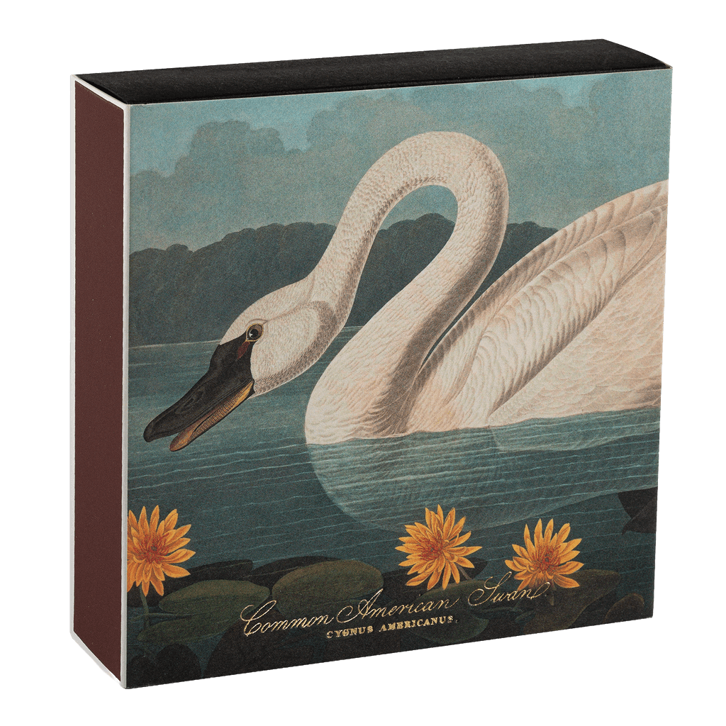 American Swan Luxury Archivist Matches - The Mewstone Candle Co