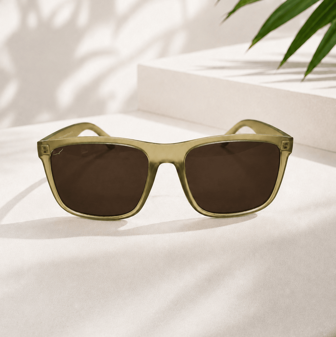 Bantham Sunglasses - The Mewstone Candle Co