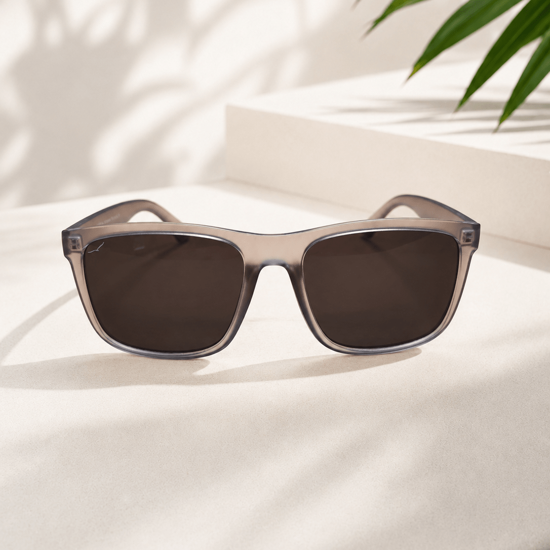 Bigbury Sunglasses - The Mewstone Candle Co
