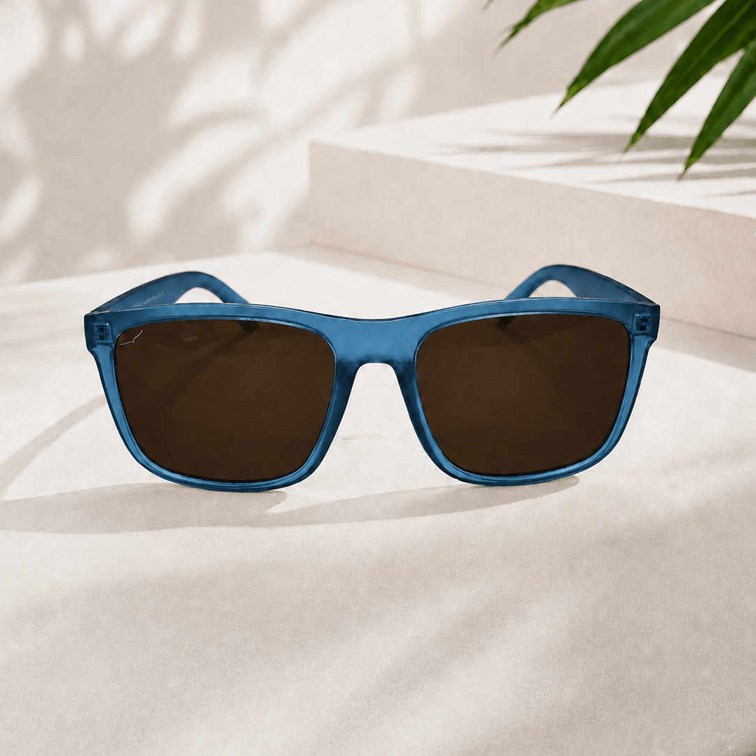 Yealm Sunglasses - The Mewstone Candle Co