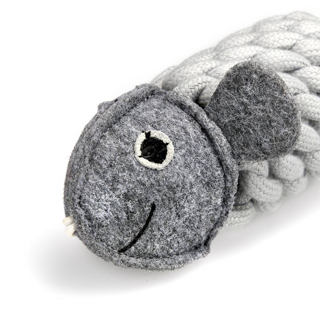 Roger the Rope Fish Eco Dog Toy - The Mewstone Candle Co